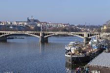IMG_3806.jpg