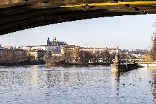 IMG_3813.jpg