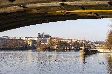 IMG_3814.jpg