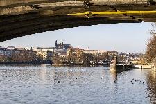 IMG_3815.jpg