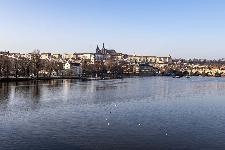 IMG_3830.jpg