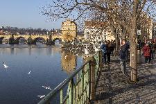IMG_3835.jpg