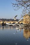IMG_3859.jpg