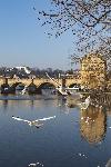 IMG_3861.jpg