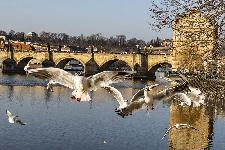 IMG_3878.jpg