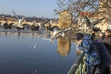 IMG_3888.jpg