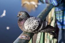 IMG_3900.jpg