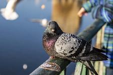 IMG_3907.jpg
