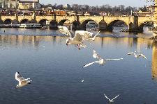 IMG_3916.jpg
