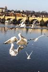 IMG_3941.jpg