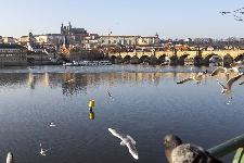 IMG_3971.jpg