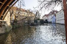 IMG_4031.jpg