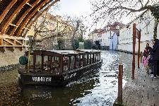 IMG_4037.jpg