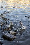 IMG_4069.jpg