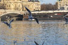 IMG_4089.jpg