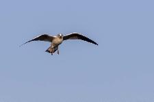 IMG_4165.jpg