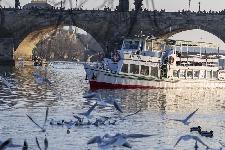 IMG_4387.jpg