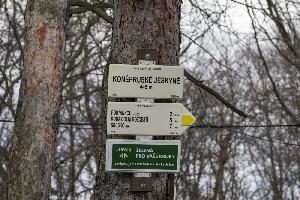 _MG_7849.jpg