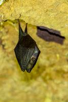 _MG_7858.jpg