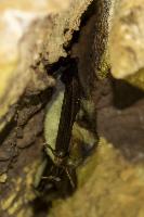 _MG_7864.jpg