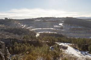 _MG_7893.jpg