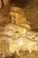 _MG_7904.jpg