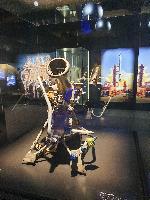 07.jpg