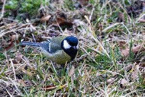 img_4418.jpg