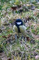 img_4436.jpg