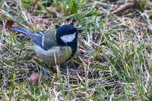 img_4442.jpg