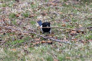 img_4490.jpg