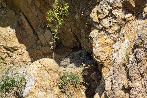 IMG_4948.jpg