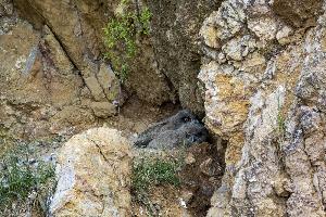 IMG_4957.jpg