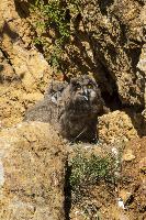 IMG_5133.jpg