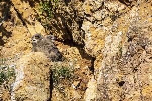IMG_5138.jpg