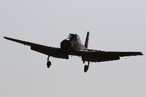 1G9A6910-PSm.jpg