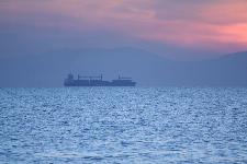 IMG_0518.jpg