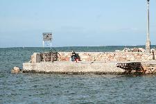IMG_0529.jpg