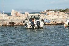 IMG_0530.jpg
