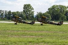 IMG_2376.jpg