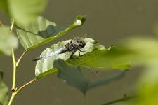 IMG_5837.jpg