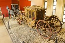 IMG_5881.jpg
