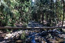 _MG_8745.jpg