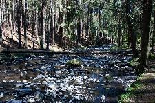 _MG_8749.jpg