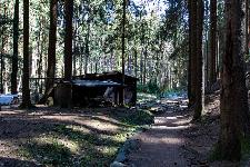 _MG_8750.jpg