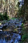 _MG_8752.jpg