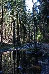 _MG_8753.jpg