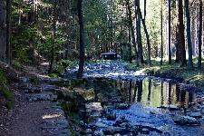 _MG_8755.jpg
