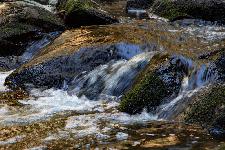 _MG_8757.jpg