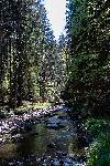 _MG_8761.jpg